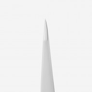 Staleks Pro Expert TE-10/5 eyebrow tweezer with pointed edges