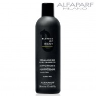 AlfaParf Blends Of Many Rebalancing Low Shampoo anti-dandruff for men 250ml