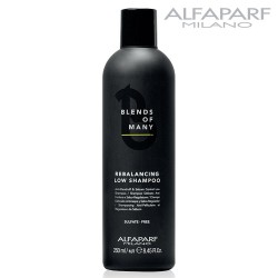 AlfaParf Blends Of Many Rebalancing Low Shampoo anti-dandruff for men 250ml AlfaParf Blends Of Many Rebalancing Low Shampoo anti-dandruff for men 250ml