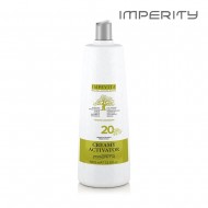 Imperity Impevita Creamy Activator 20 Vol 6% 1L
