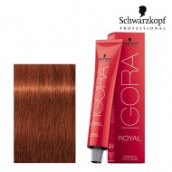 Schwarzkopf Pro Igora Royal 6-77 Permanent Colour Creme 60ml